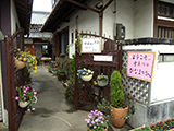 旧道